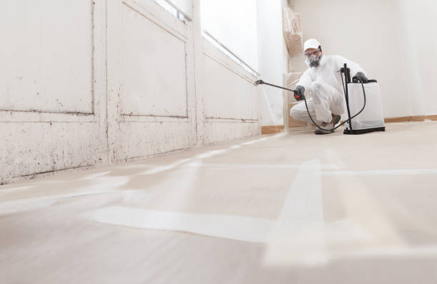 24/7 Emergency Commercial Mold Remediation experts in Middleville, MI